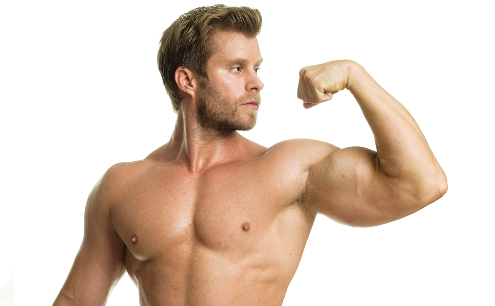 Anatomy of Muscle Building: A Trainer's Guide to Increasing Muscle Mass:  Ramsay, Craig: 9781554078165: Amazon.com: Books